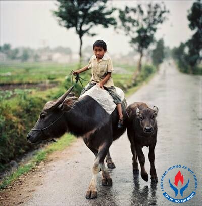 Em về lấy lại tuổi thơ