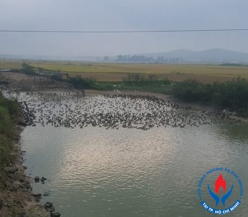 Mương Gò Da - Xã Đức Nhuận