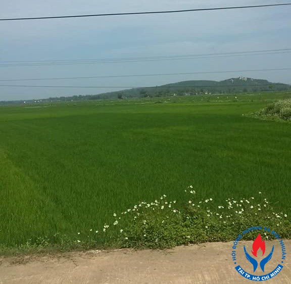 NHỚ VỀ CỘI NGUỒN