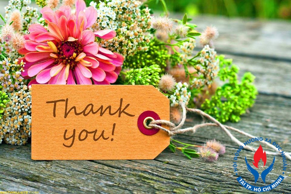 Thạc sĩ ĐH Harvard: “Muốn con thành công, hãy cho con học viết”