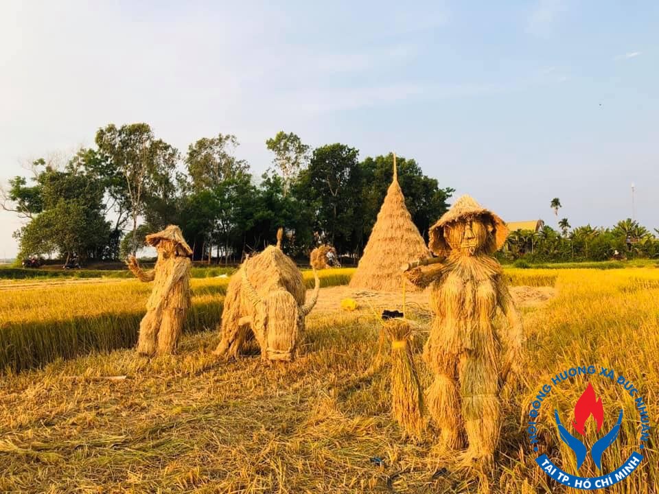 mo hinh tren canh dong 1