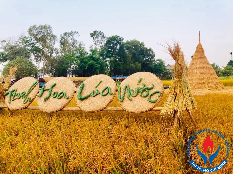 Hoạt cảnh trong " Lễ Hội Ngày Mùa " trên quê hương Mộ Đức