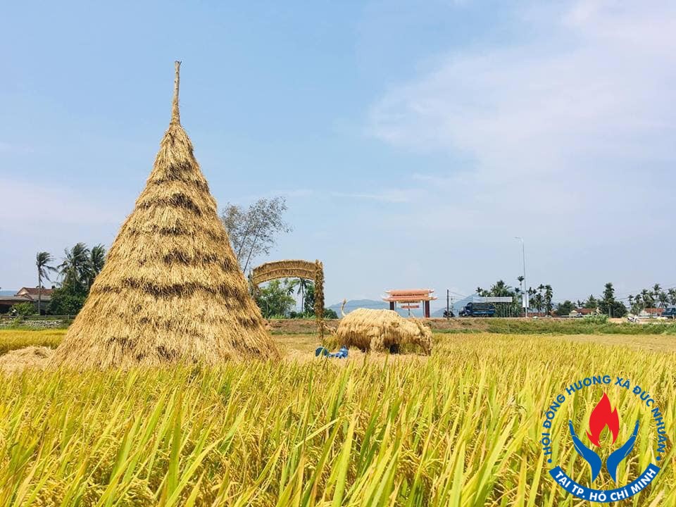 mo hinh tren canh dong